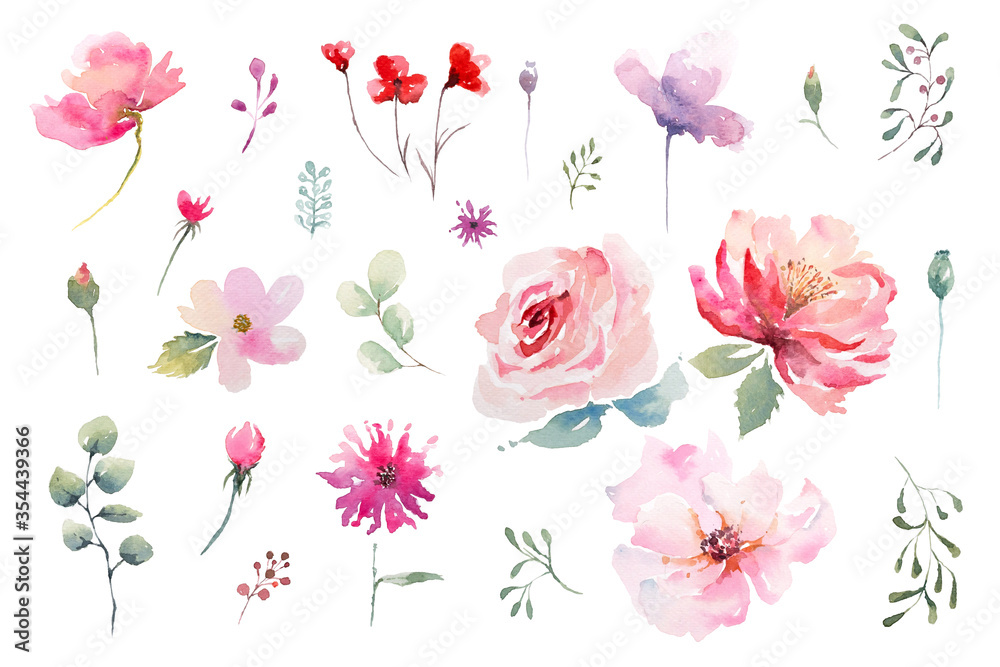 Watercolor drawing elements of rose flowers