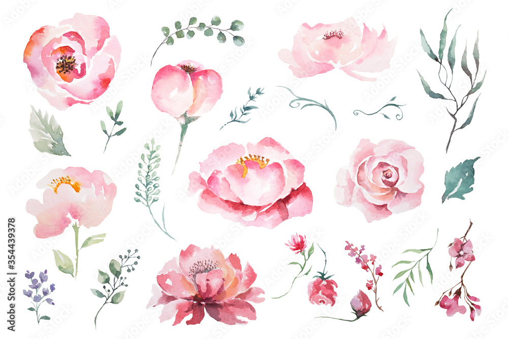 Watercolor drawing elements of rose flowers