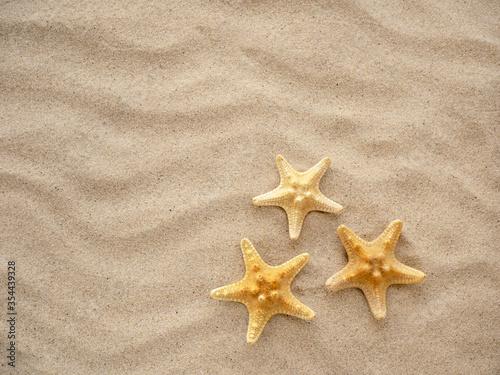 Three starfish are lying on the sand. Concept of vacation, sea, travel