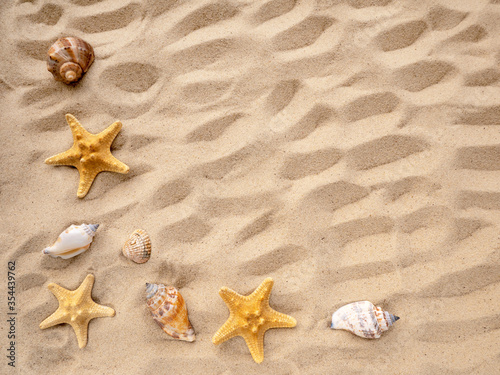 sea stars and shells lie on the sand. The concept of rest  sea  travel. Copy space
