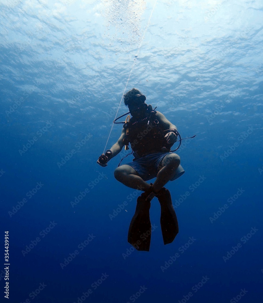 Buda diver Buda diver