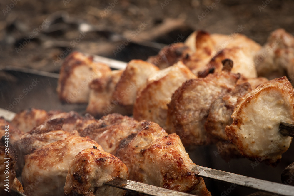 skewers fried on a bonfire on skewers skewers fried on a bonfire on skewers