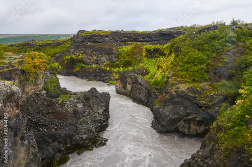 watercourse in Iceland full of vegetation on the banks