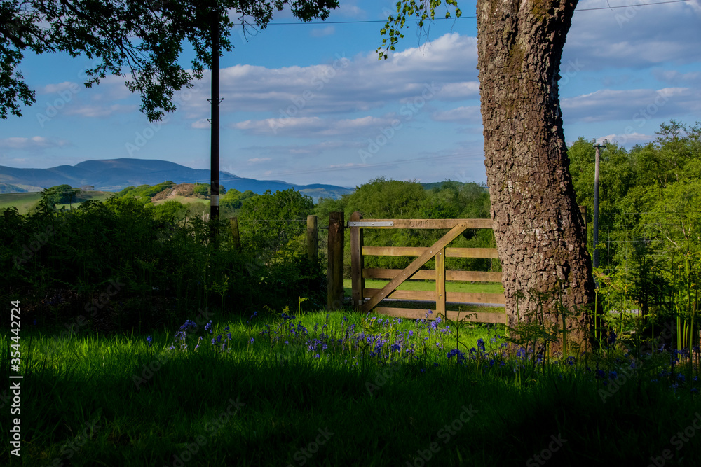 fence of blue fence of blue