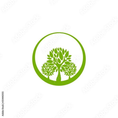 Green flat tree with sharp leaves in circle isolated on white. organic symbol.
