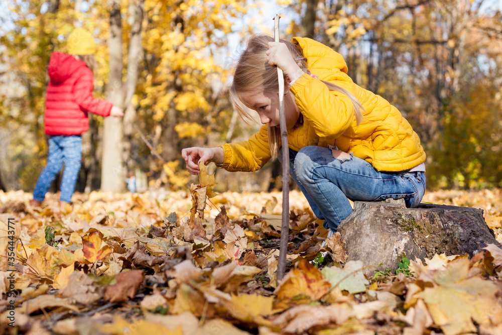 Children hiking in the forest. Girls exploring nature in the woods on autumn day, sitting on rock and playing with stick and leaves Outdoor recreation and family awesome adventures with kids in fall Children hiking in the forest. Girls exploring nature in the woods on autumn day, sitting on rock and playing with stick and leaves Outdoor recreation and family awesome adventures with kids in fall
