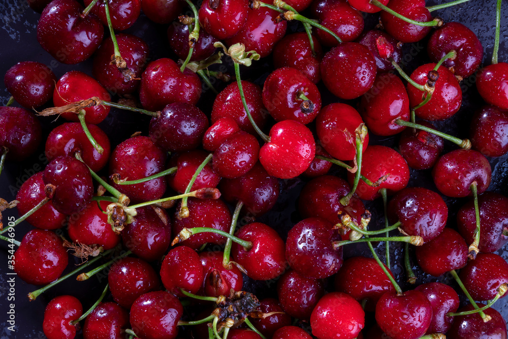 Top view and close up on fresh, wet, dark cherries. Water drops on bright shiny dark red fruits with stalks. Cherry fruit background with space for text Top view and close up on fresh, wet, dark cherries. Water drops on bright shiny dark red fruits with stalks. Cherry fruit background with space for text