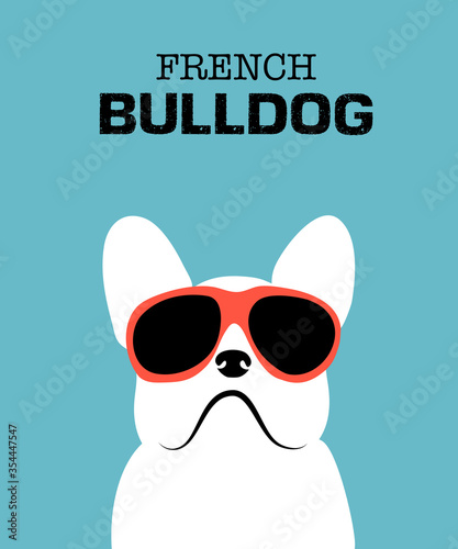 Cute cartoon french bulldog. Hand drawn vector illustration art on blue pastel background .White French bulldog wearing red sunglasses. 
