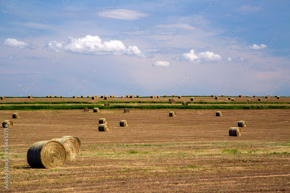 Agriculture Farmland Harvest Canadian Prairies