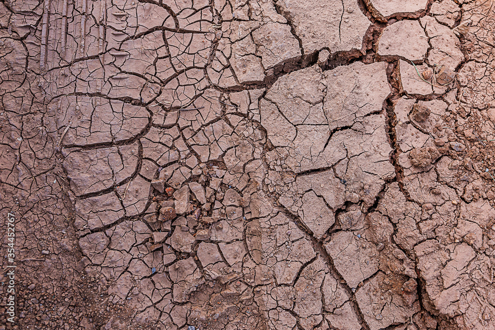 Fototapeta premium Cracked dry soil. The great drought in Central Europe.