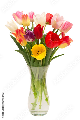 Bouquet flowers tulips in a vase isolated on white background. Botanical  concept  flora  idea. Macro  nature