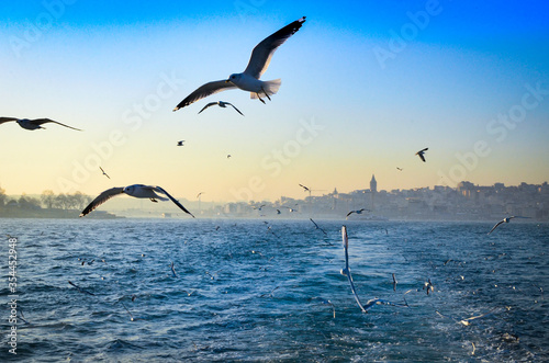 Galata Tower and Golden Horn at Bosphorus, Istanbul, Turkey 