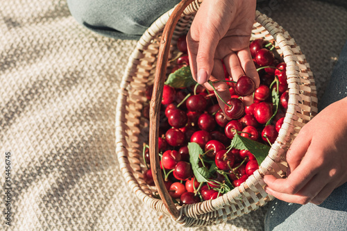 woman hands holding red cherries