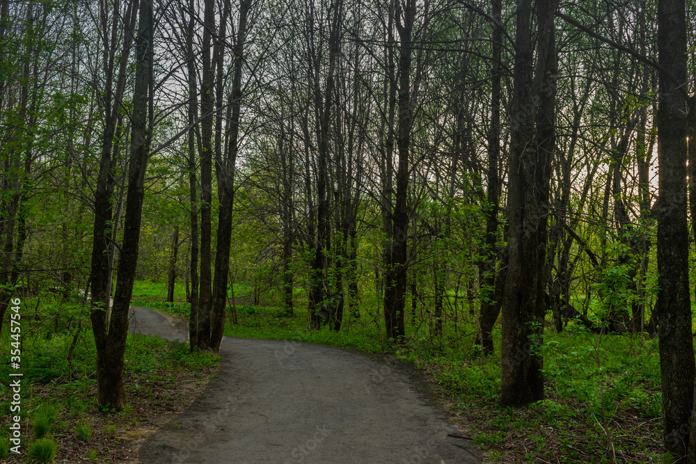 Naklejka premium St-Charles River spring 2020