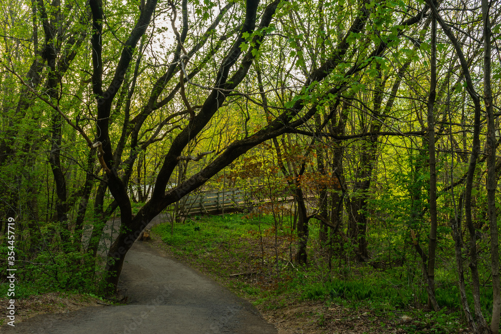 Naklejka premium St-Charles River spring 2020