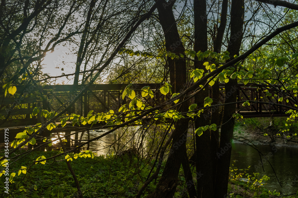 Fototapeta premium St-Charles River spring 2020