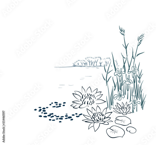 water lily card nature landscape view landscape card vector sketch illustration japanese chinese oriental line art