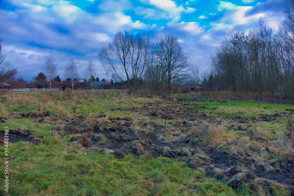 Obraz premium The field