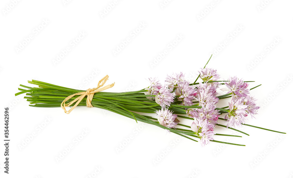 Fototapeta premium blooming chives isolated on white background