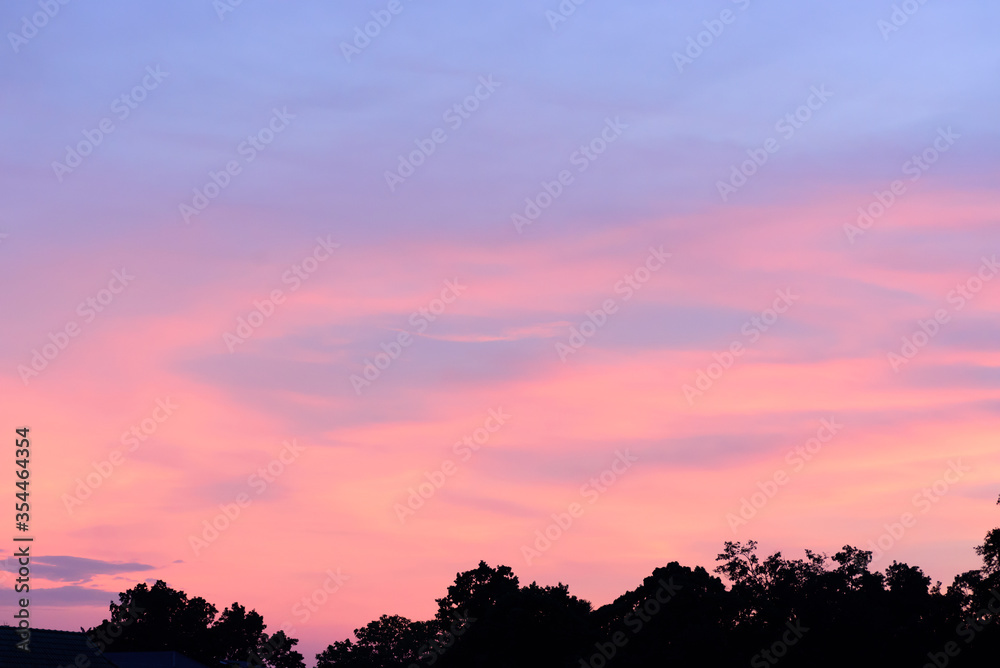 Fototapeta premium Beautiful twilight sky with clouds after sunset above the trees in summer season