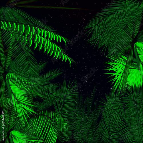 palm trees  tropical night  stars.