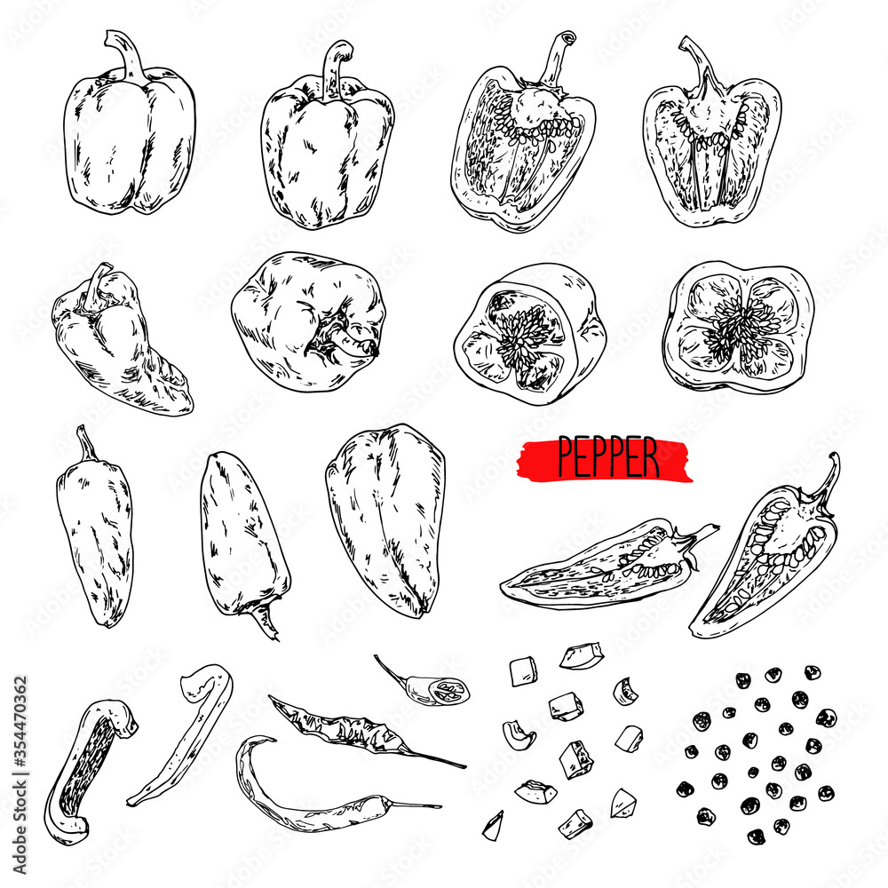 Hand drawn sketch style pepper set. Bell pepper, chilli, peas, cayenne pepper, chopped pepper. Vector illustration. Hand drawn sketch style pepper set. Bell pepper, chilli, peas, cayenne pepper, chopped pepper. Vector illustration.