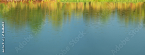 reflection of green and yellow reed in lake wetland soft raining water in summer sunlight nature banner background