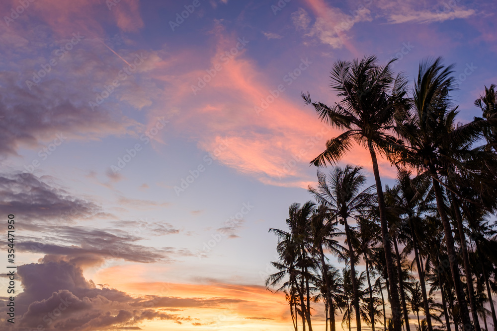 Palm grove at sunset. Beautiful pink red sunset sky with clouds.