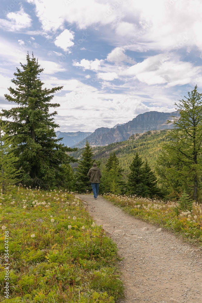 Obraz premium Man hiking on trail near Sunshine Village Ski Resort in Banff National Park, Canada