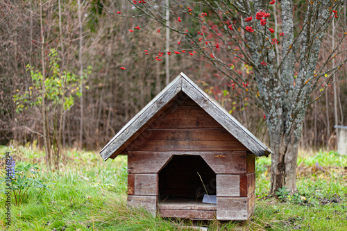 Dog box. The house in the garden is overgrown with moss. © Олег Копьёв