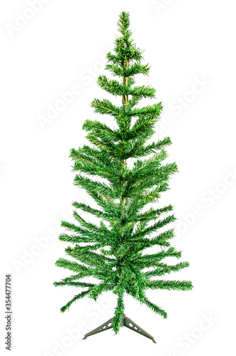 Fresh green pine tree for Christmas day celebration