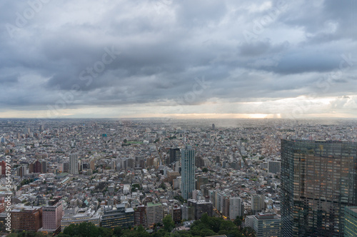 Aerial view of Tokyo cityscape. Modern urban sprawl Asian city background