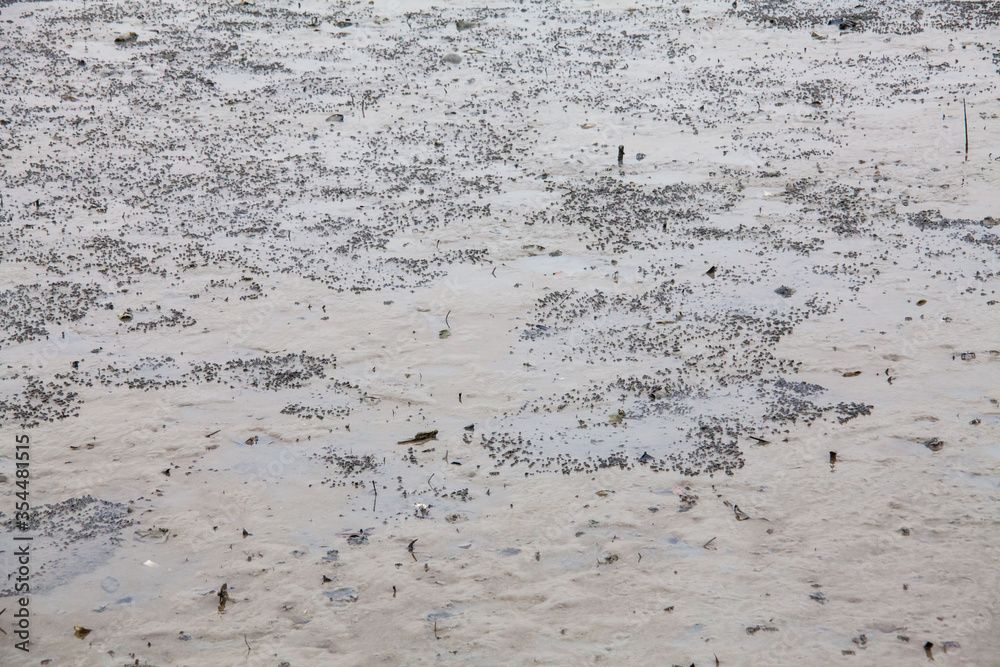 View of blurry mud texture used for clay mask in beauty products
View of blurry mud texture used for clay mask in beauty products