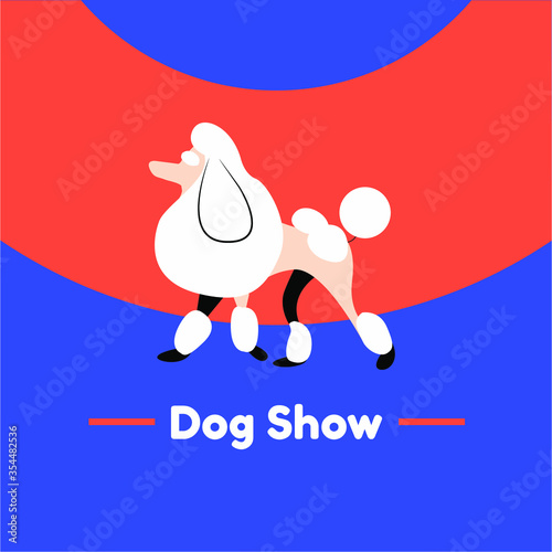 Poodle vector illustration in flat style
