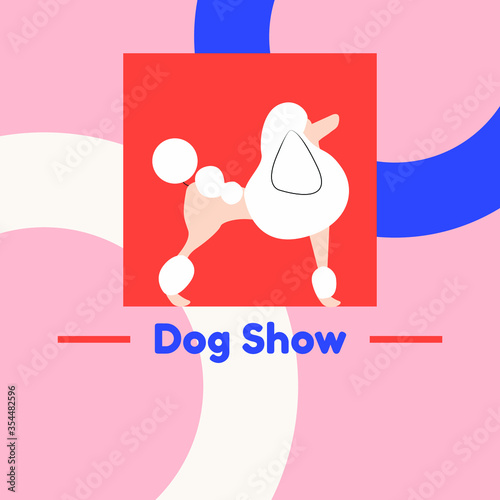 Poodle vector illustration on abstract background 