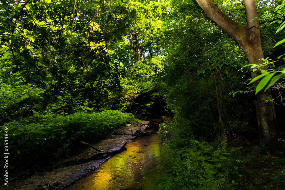 Obraz premium Valley Stream State Park Valley Stream, NY