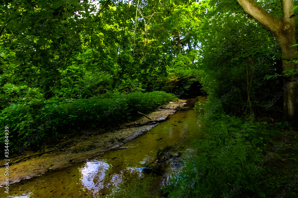 Obraz premium Valley Stream State Park Valley Stream, NY