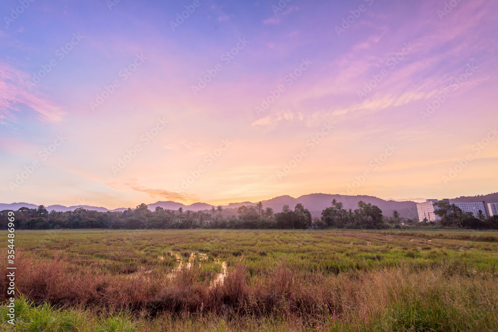 Paddy field view of sunrise or sunset background