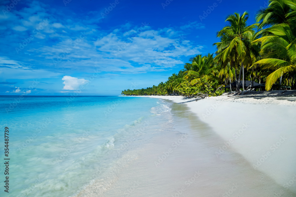 Caribbean sea tropical landscape in Dominican republic with palm trees, sandy beach, green jungles, rocks, blue sky and turquoise water on Saona island. Popular touristic destination for excursions