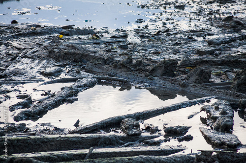 Muddy shore view with wood covered by mud and rubbish