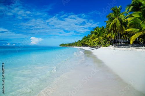 Fototapeta Naklejka Na Ścianę i Meble -  Caribbean sea tropical landscape in Dominican republic with palm trees, sandy beach, green jungles, rocks, blue sky and turquoise water on Saona island. Popular touristic destination for excursions