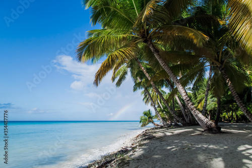 Caribbean sea tropical landscape in Dominican republic with palm trees, sandy beach, green jungles, rocks, blue sky and turquoise water on Saona island. Popular touristic destination for excursions