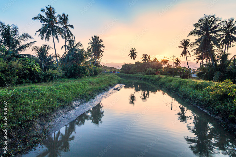 Village river reflection of sunrise view in Balik Pulau, Penang Village river reflection of sunrise view in Balik Pulau, Penang