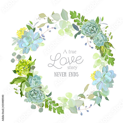Spring mix of succulents, herbs and plants floral frame