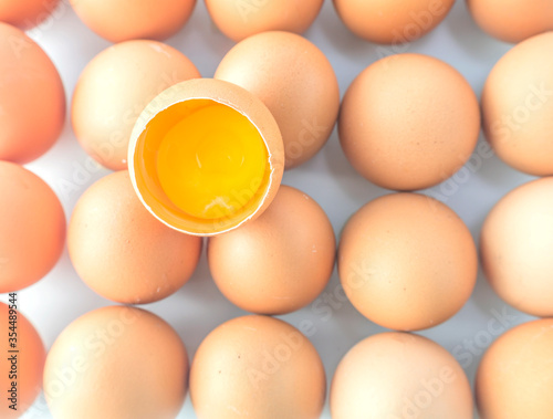 Farm fresh egg background material