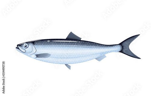 Herring fish. Vector illustration cartoon flat icon isolated on white.