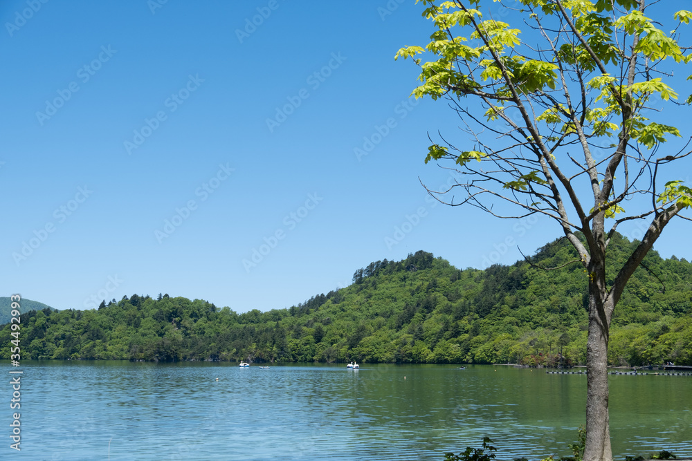 5月の爽やかな十和田湖