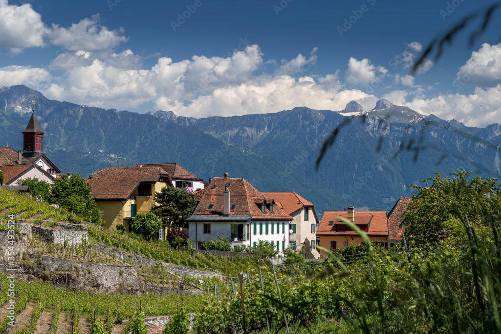 Vue sur le village de Rivaz depuis les vignobles du Lavaux