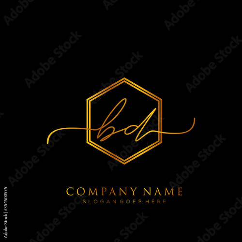 Initial letter BD Signature handwriting Logo Template Vector photo