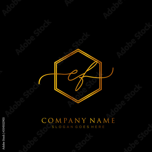 Initial letter EF Signature handwriting Logo Template Vector photo